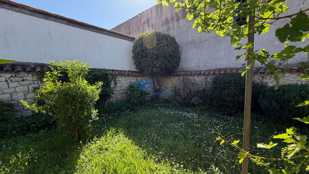 La rochelle laleu maison type echoppe - photo 3