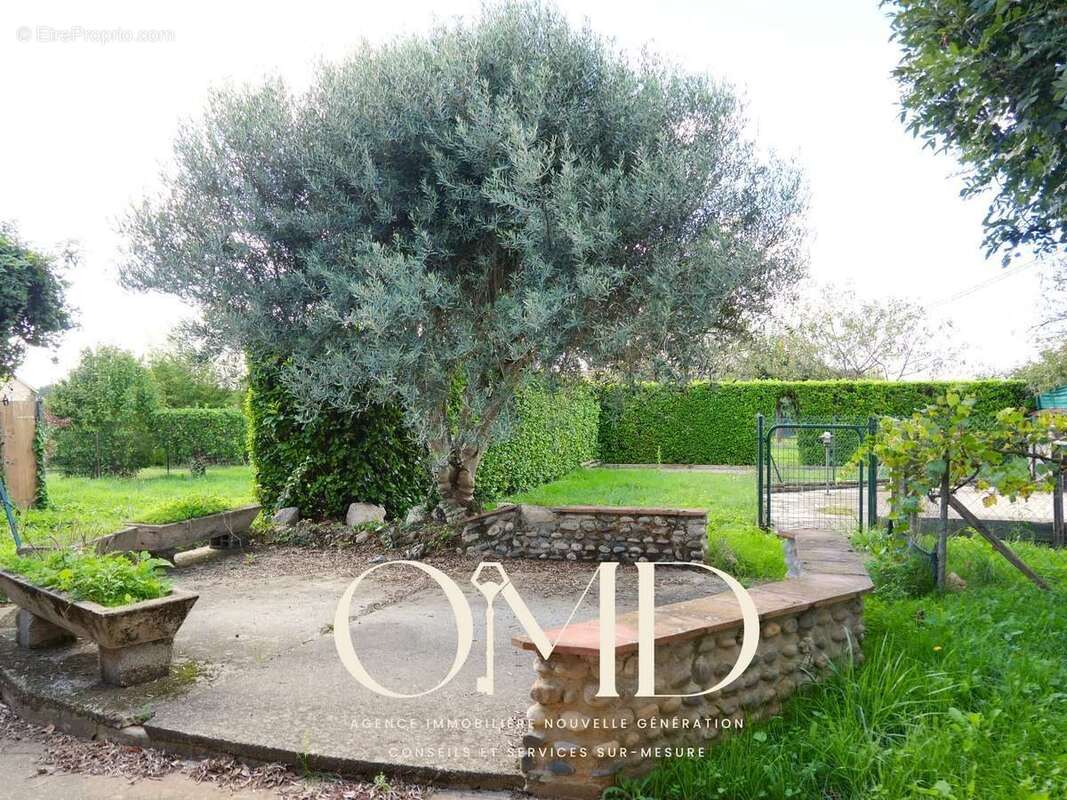 Maison à MONTESQUIEU-VOLVESTRE