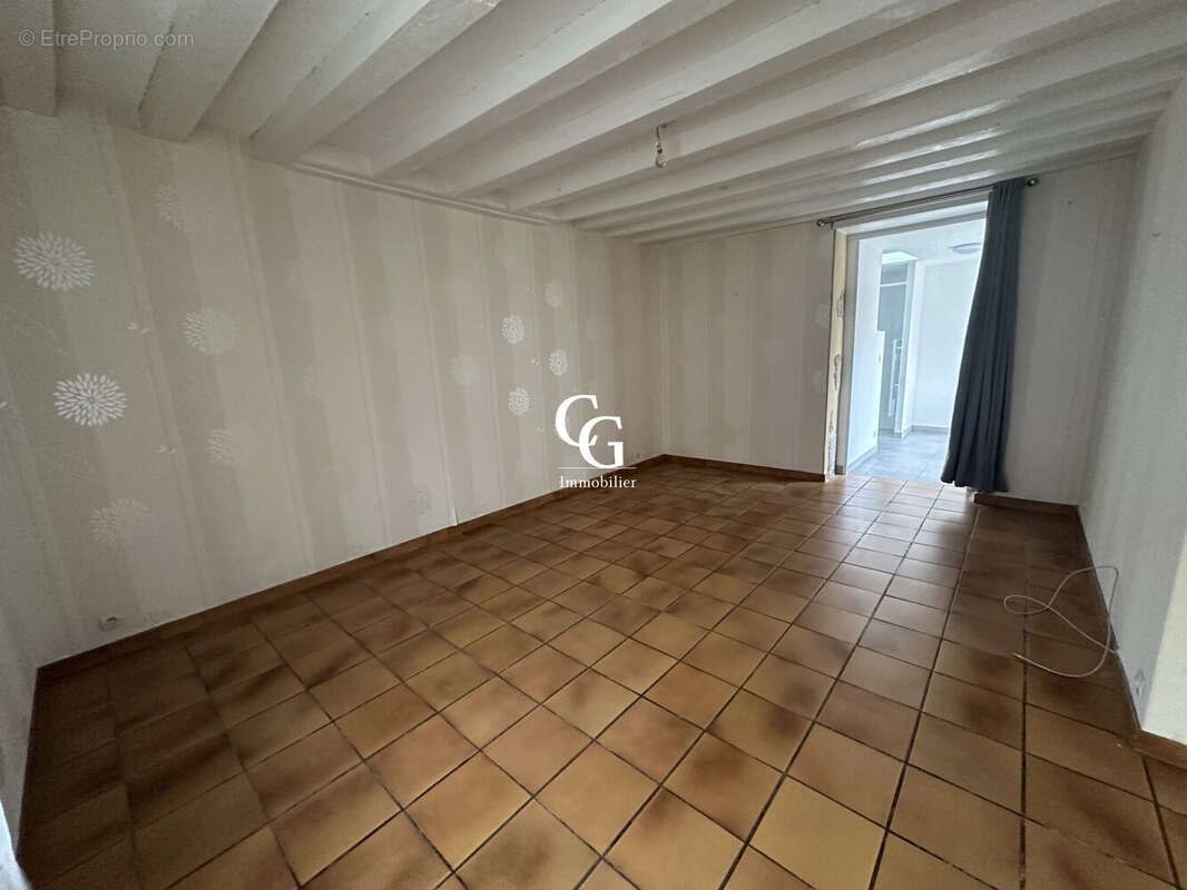 Maison à VIEILLEVIGNE