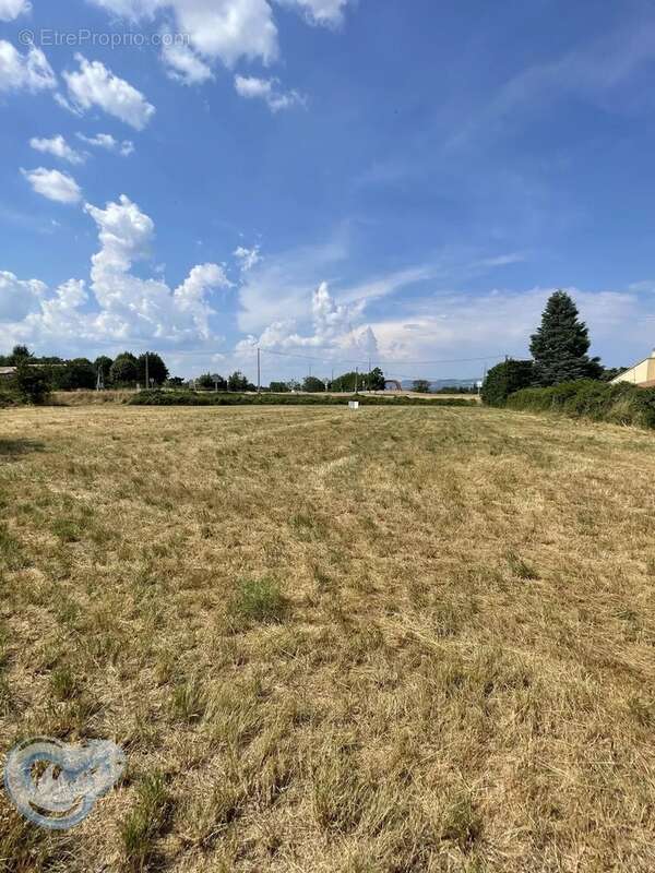 A vendre terrain constructible viabilisé de 704 m2 - Lot 2 - photo 2