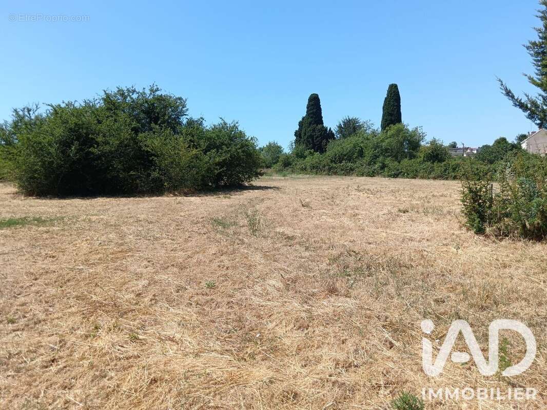 Terrain 1200 m² à Saint-Jean-De-Thouars  - photo 5