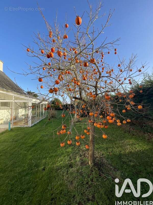 Photo 5 - Maison à PLEUMEUR-BODOU