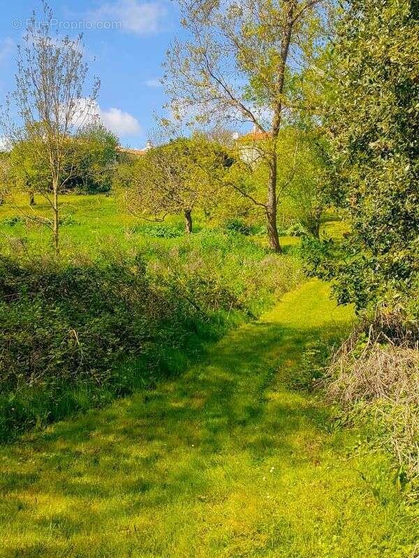 Terrain à SAINT-LAURENT-DE-LA-PREE