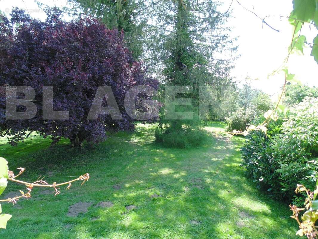 DSC06307 - Maison à CORBIGNY