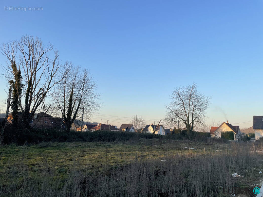 Terrain à ZILLISHEIM