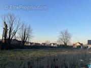 Terrain à ZILLISHEIM