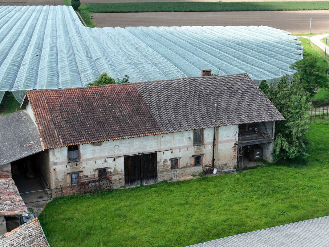 Maison à NEGREPELISSE