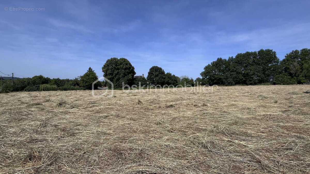 Terrain à PEYRIGNAC