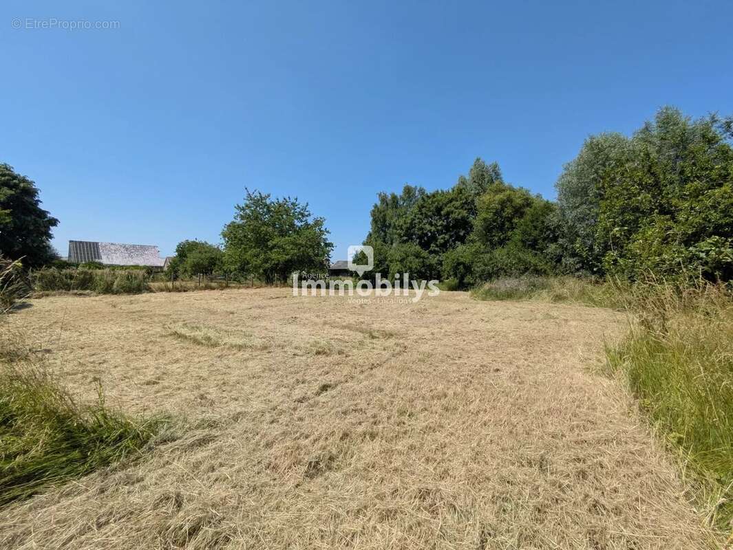 Terrain à SARS-ET-ROSIERES