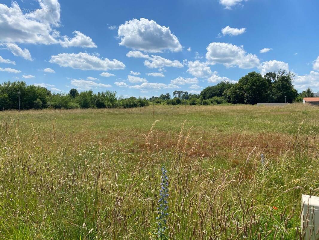 Terrain à MARSAC-SUR-L'ISLE
