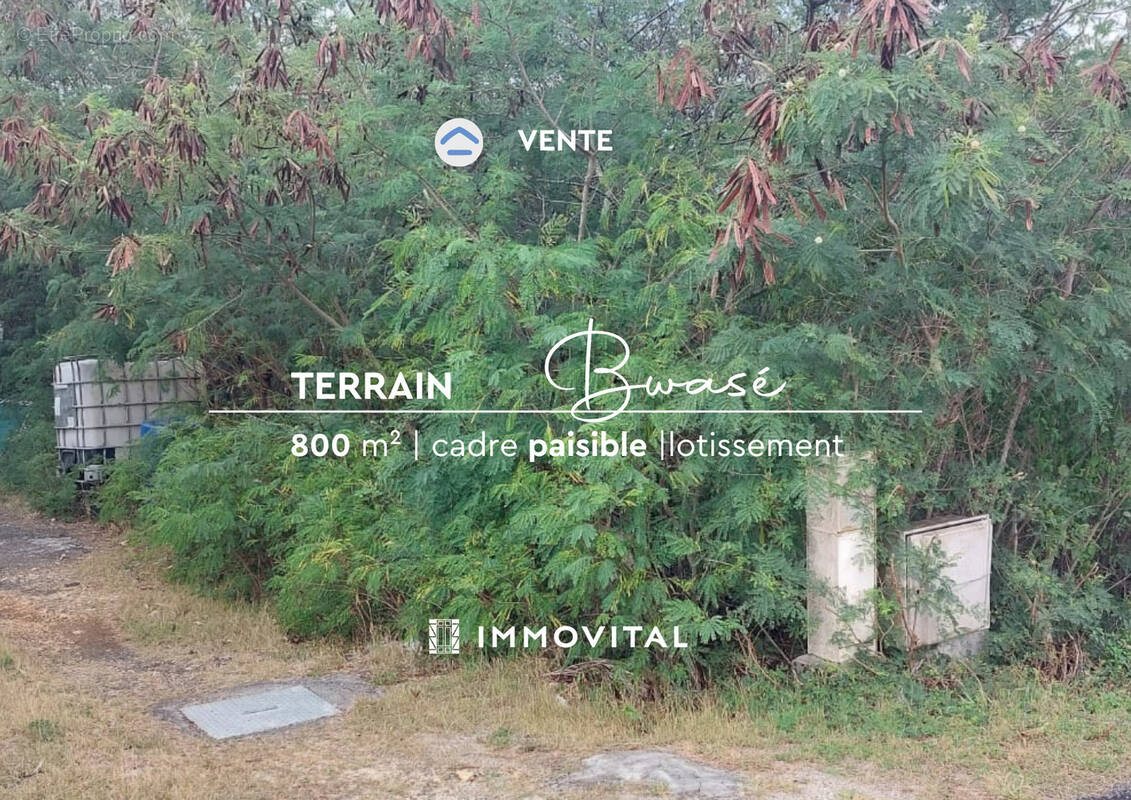 Terrain à ANSE-BERTRAND