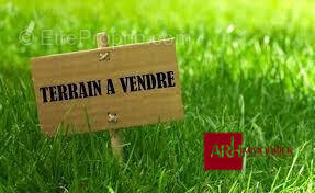 Terrain à LE TAMPON