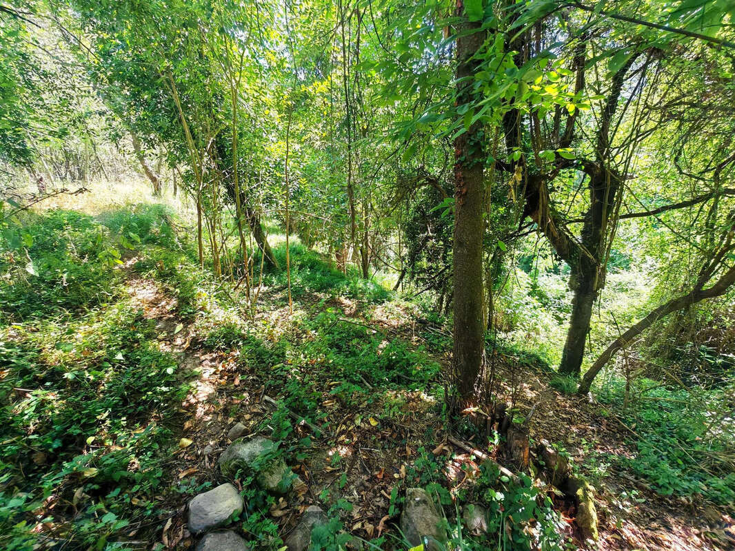 Photo 4 - Maison à BELVEDERE