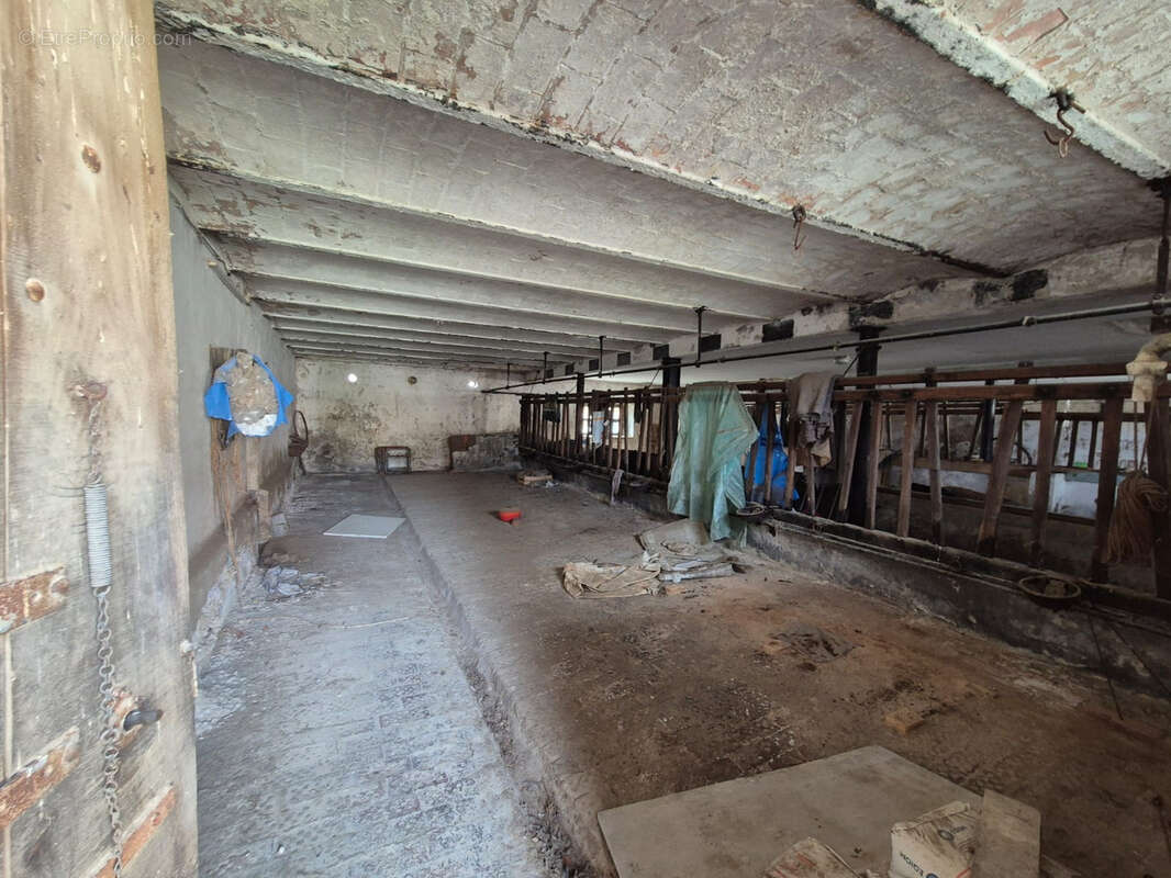 Maison à STEINBRUNN-LE-HAUT