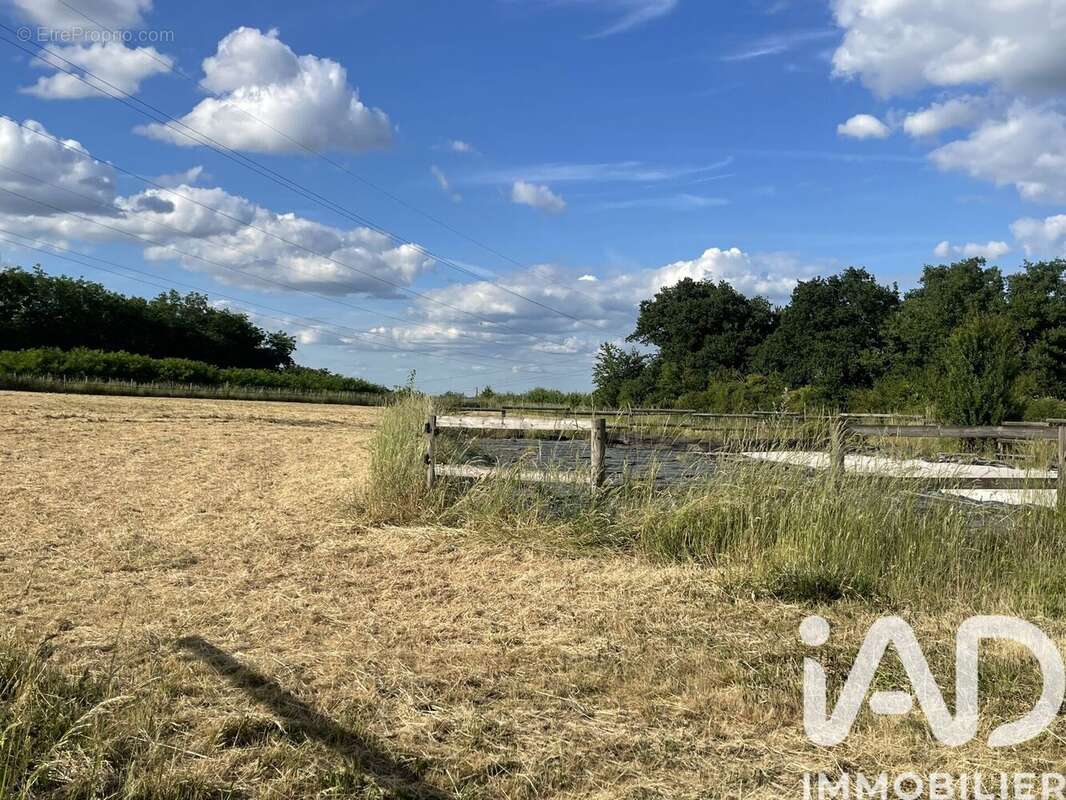 Photo 8 - Terrain à VILLENEUVE-SUR-YONNE