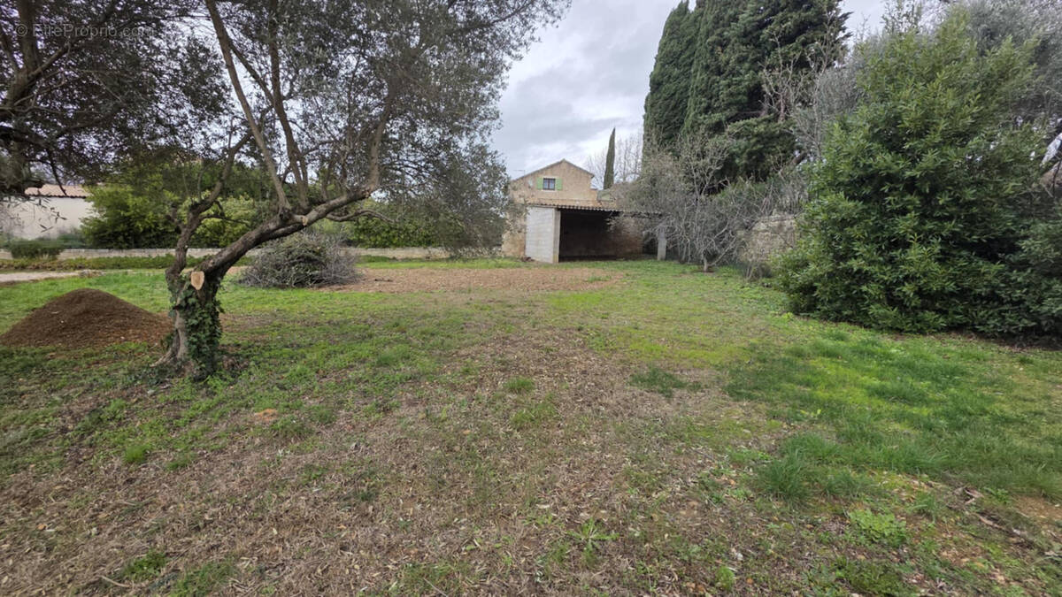 Terrain à SATURARGUES