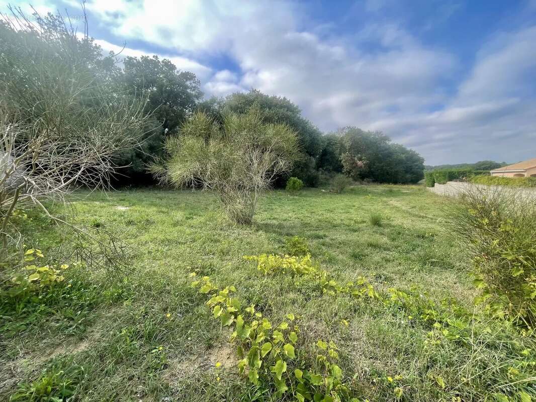 Terrain à CANET-EN-ROUSSILLON
