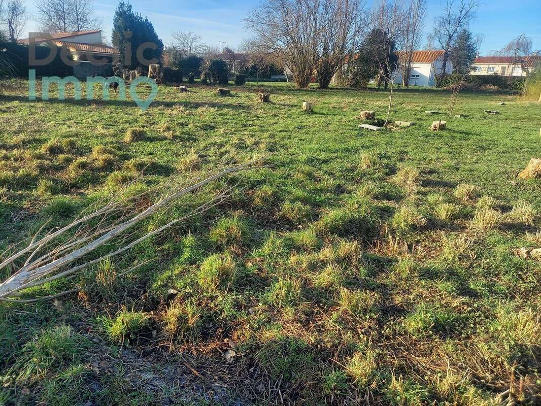 Terrain à LE POIRE-SUR-VIE