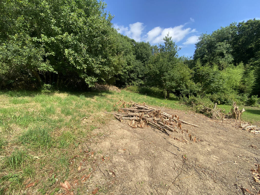 Terrain à QUIMPER