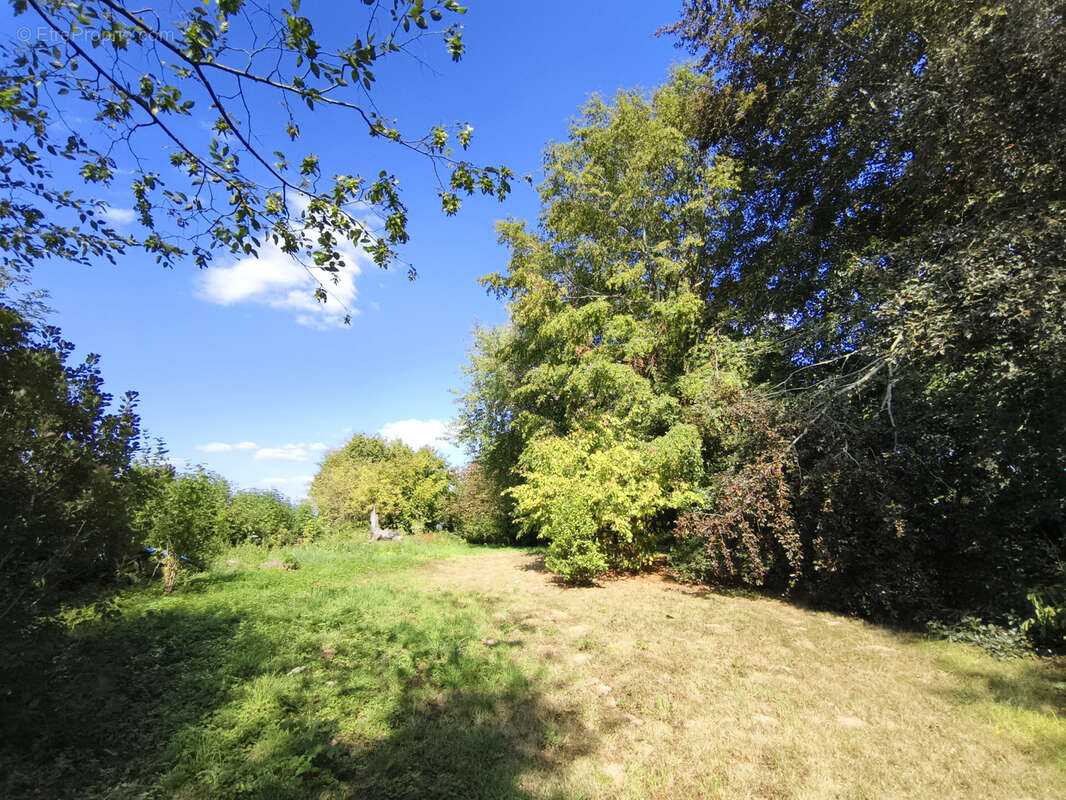 Villers-pol — demeure de caractère & ensemble immobilier aux multiples destinées - photo 19