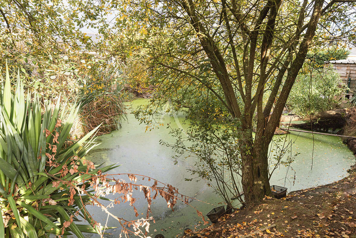Maison à SAINT-AUGUSTIN-DES-BOIS