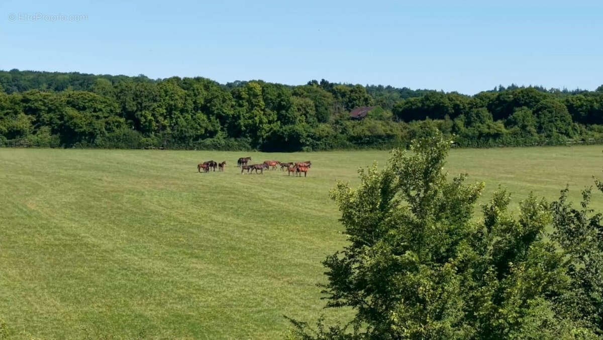 Haras normand sur 73 ha - photo 4