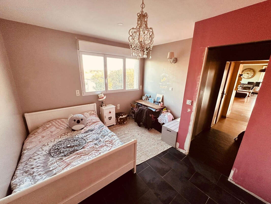 Commerce à TORREILLES