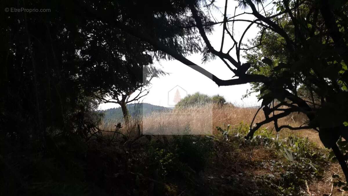 Terrain à LE COLLET-DE-DEZE