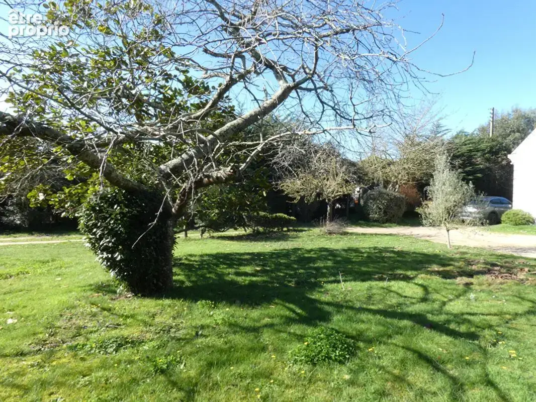 BELLE OPPORTUNITE FONCIERE ! Terrain constructible de près de 3 000m2 - photo 5
