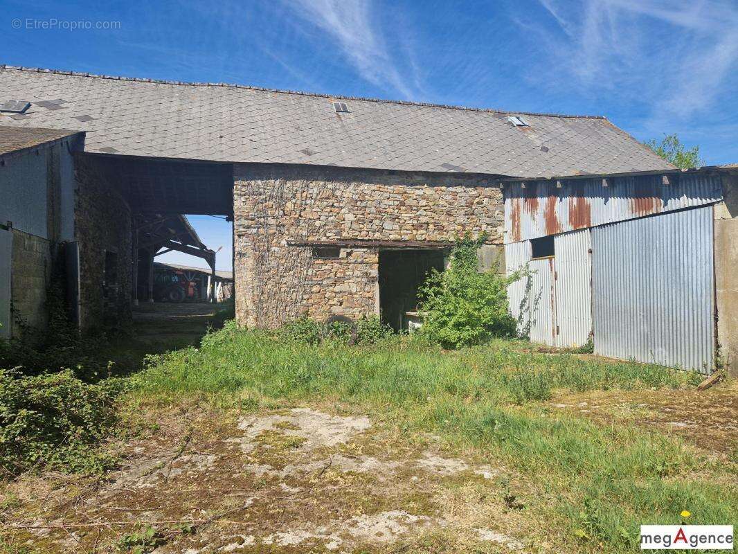 Maison - dépendance - Terrain 2390 m² - Bâtiment de 300 m² - idéal jardin - photo 13