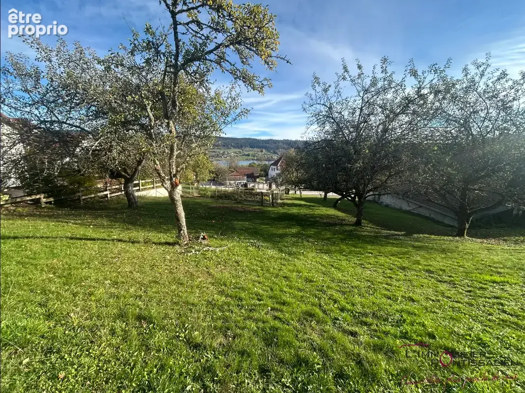 Les grangettes - un cadre d'exception avec vue sur le lac saint-point. - photo 4