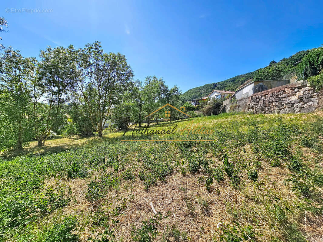 Grand terrain constructible aux Cazes - photo 12