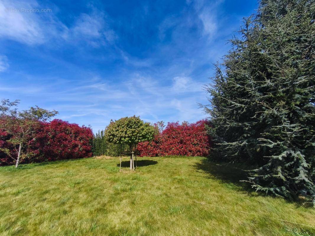 Terrain à THUMERIES