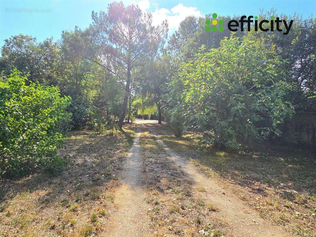 Maison à BREUIL-MAGNE