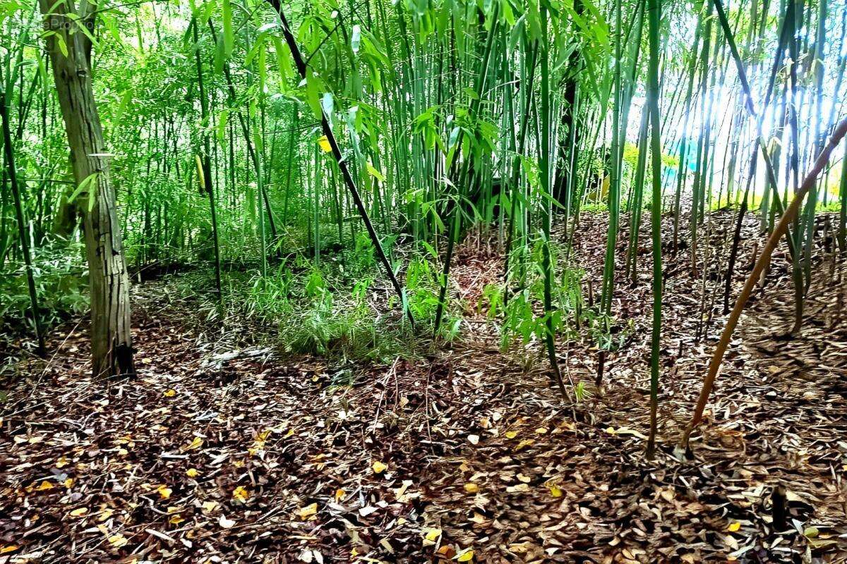 Terrain à LESCURE-D'ALBIGEOIS