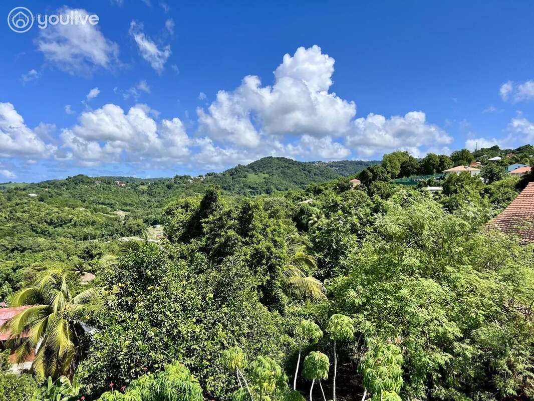 Maison à RIVIERE-SALEE