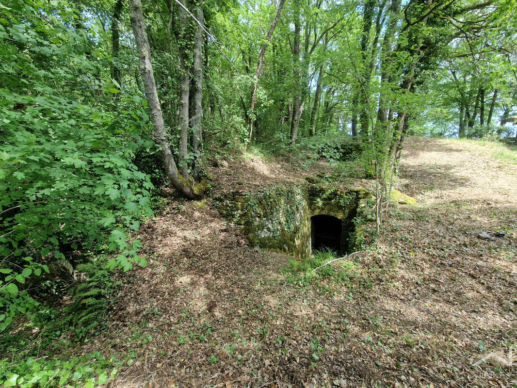 Un coin de Nature à s'approprier ! - photo 3