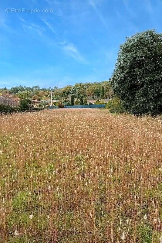 Maison à DURFORT-ET-SAINT-MARTIN-DE-SOSSENAC