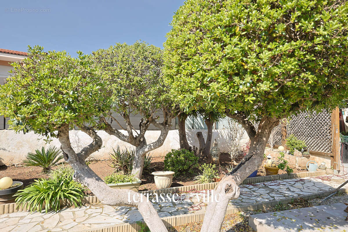Maison - 100 m2 - toulon ouest - t4 - piscine - jardin - garage - dependance - photo 3