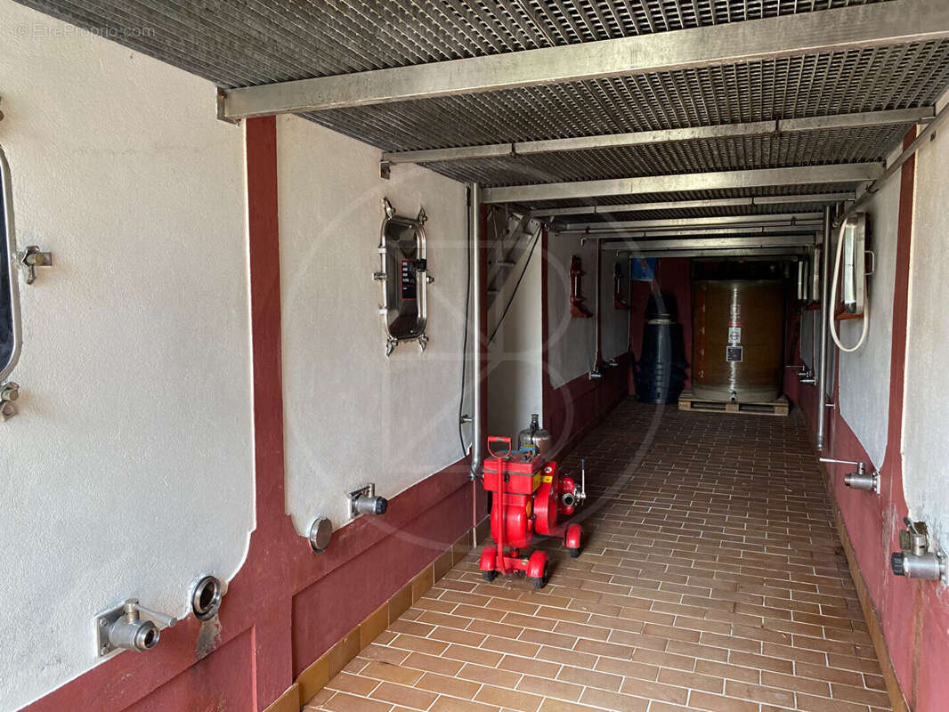 Emplacement exceptionel pour cette maison en pierre avec 4 ha au tour - photo 6