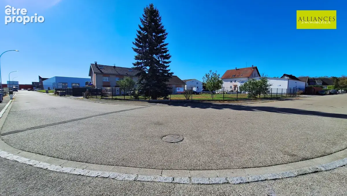WITTENHEIM-Ensemble immobilier en zone artisanale et commerciale : locaux professionnels, grands volumes et te - photo 24