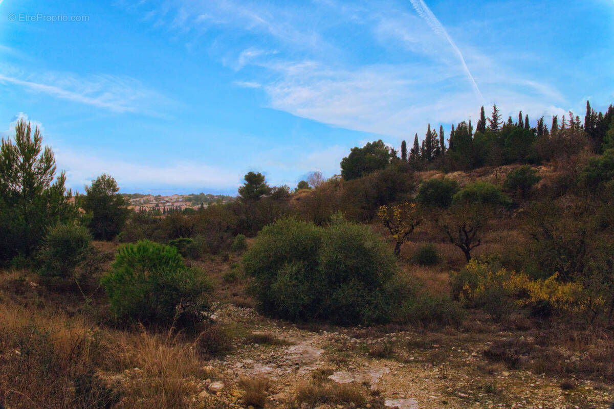 Terrain à SALLES-D&#039;AUDE