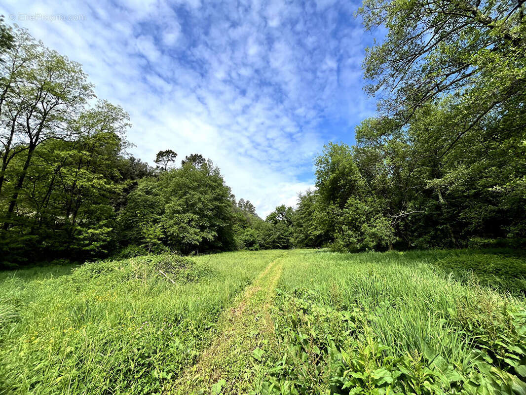 Magnifique Moulin du XVIIIe 1,6 Hectare de Sérénité avec Cours d'Eau - photo 16