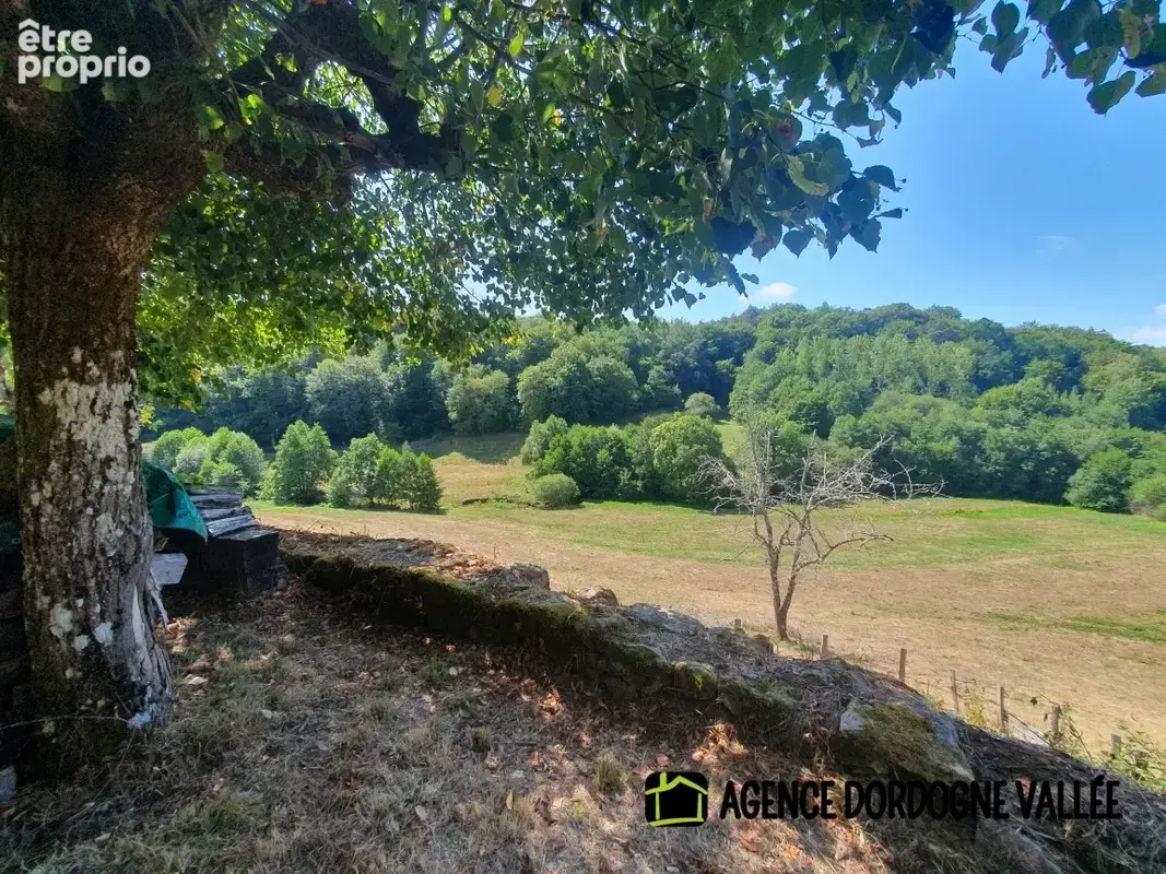 Maison de village en pierres avec terrain attenant de 2,5 ha, ruisseau, source et puits. - photo 2
