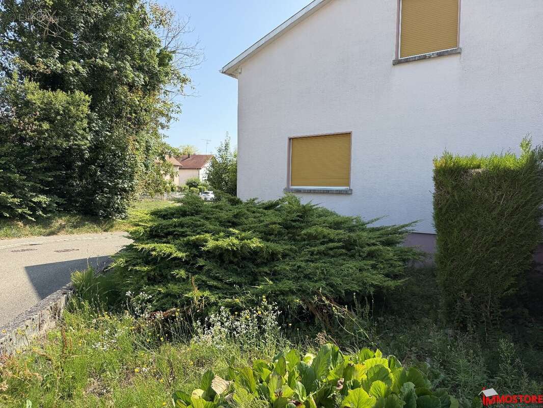 HÉSINGUE  Maison familiale avec fort potentiel d'aménagement - photo 13