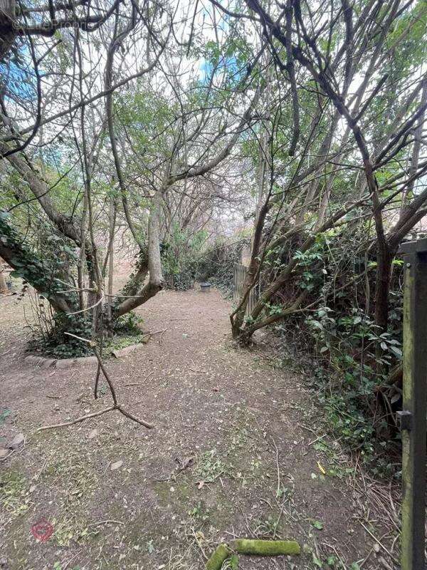 Terrain à L&#039;ISLE-EN-DODON