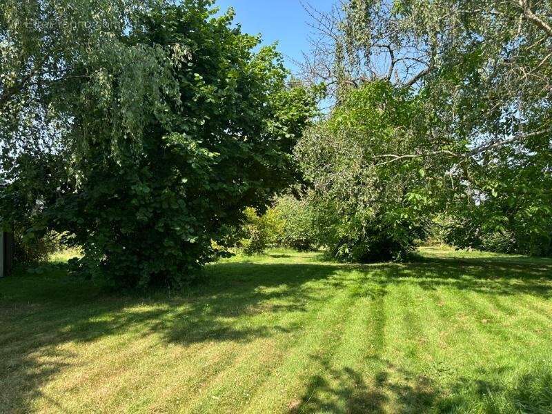 Maison 315 m² à Abbecourt  - photo 12
