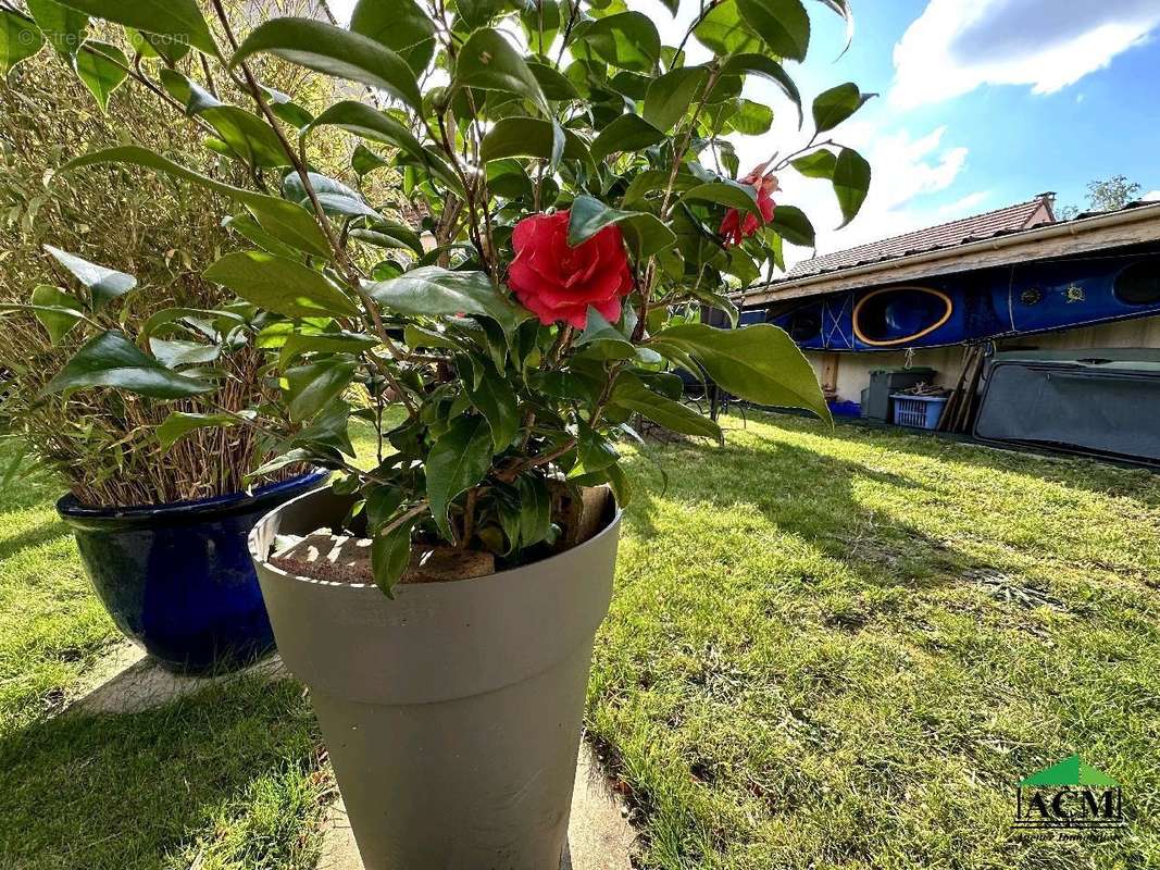 Maison à MERY-SUR-OISE