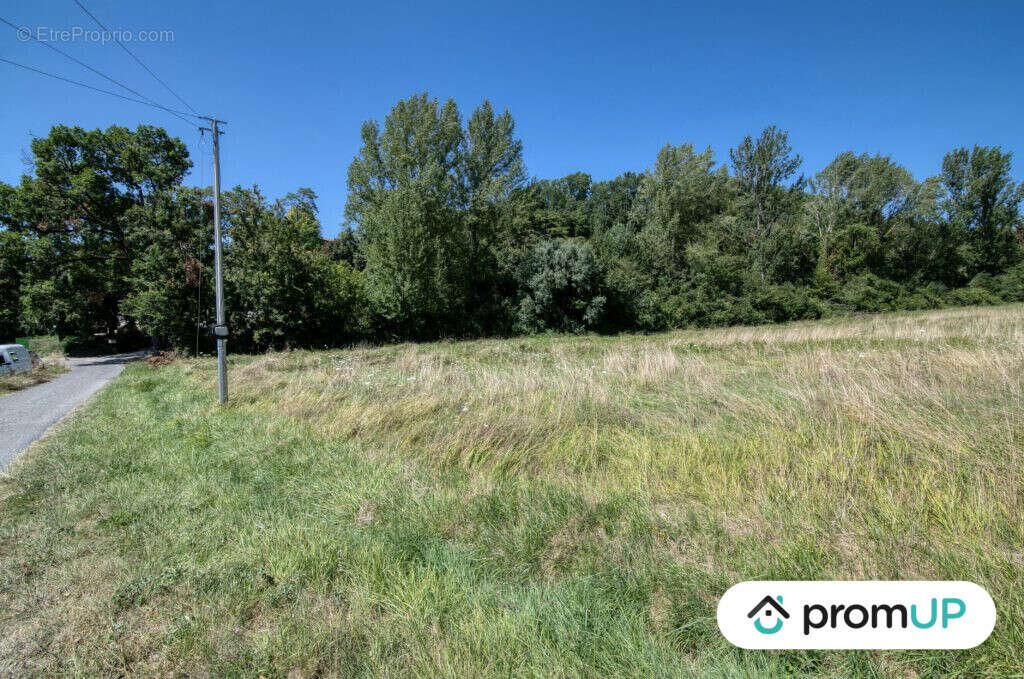 Terrain à MALAUSE