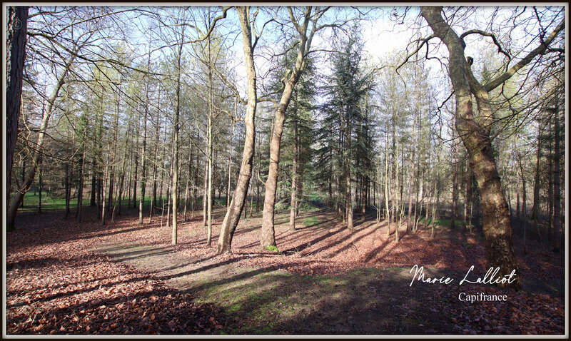 Maison à PITHIVIERS
